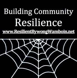 Building Community Resilience logo